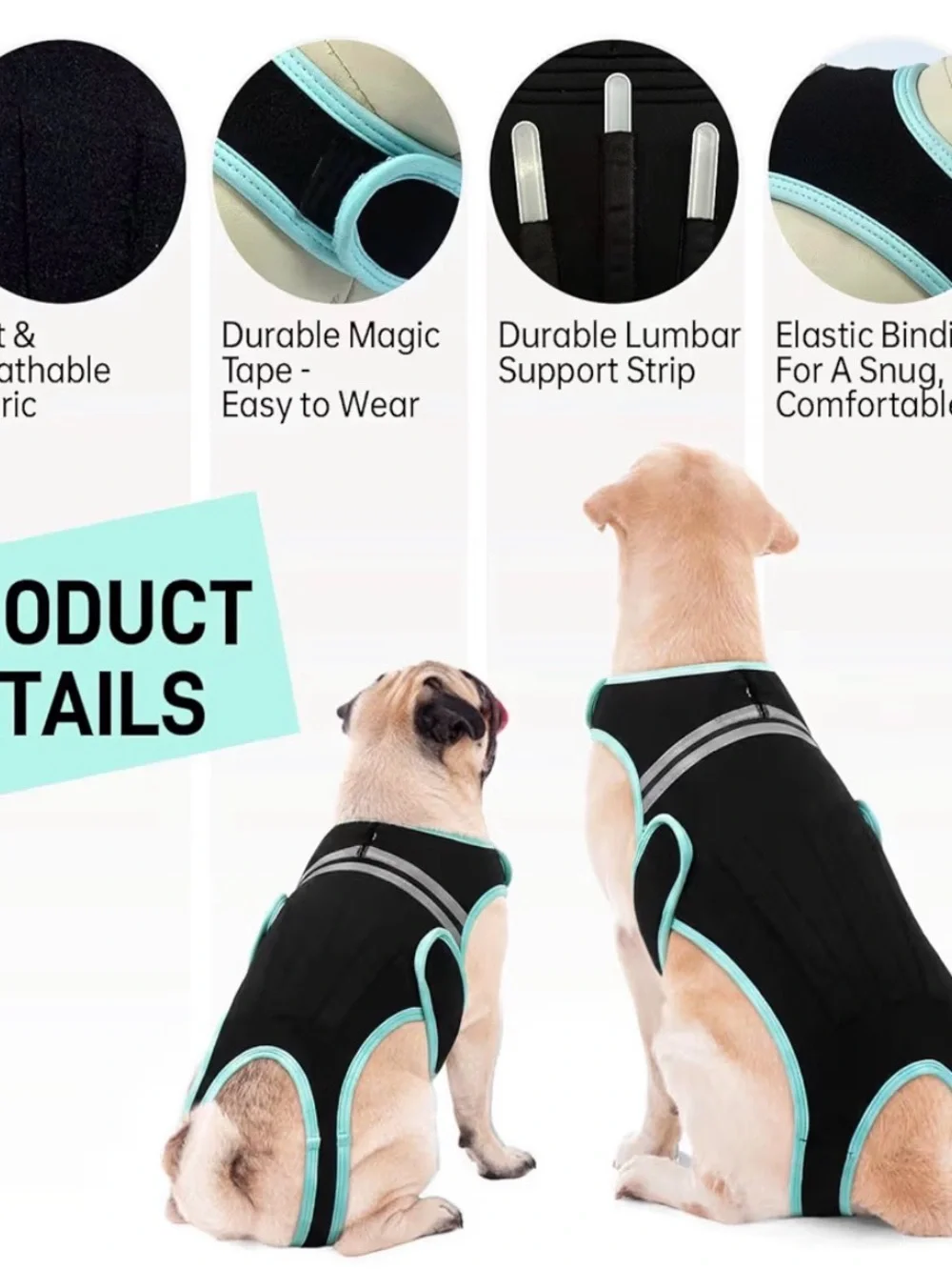 Dog Recovery Suit Back Brace- Black with Light Blue Trim Sz Small